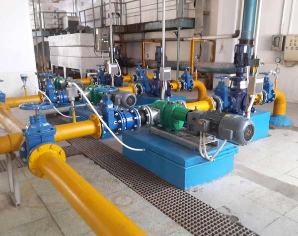 旋轉(zhuǎn)凸輪泵