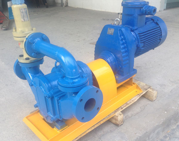 凸輪轉子泵廠家哪家好?要怎么看？